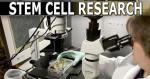 stem_cell_research